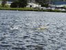 DSCN0421.JPG