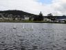 DSCN0423.JPG