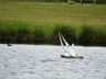 DSCN0436.JPG